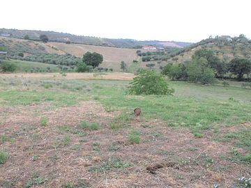 Villa in vendita a Pianella (PE) contrada san desiderio foto 17