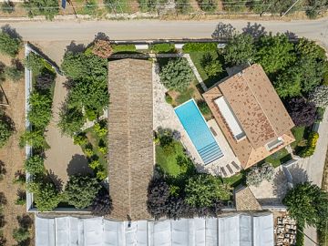 Villa in vendita a Terlizzi (BA)  foto 14