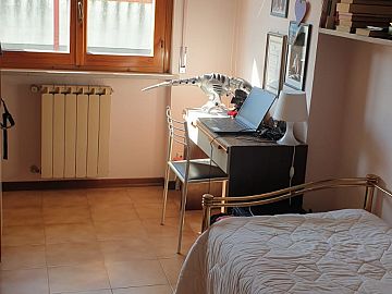 Appartamento in vendita a Pescara (PE) VIA FONTE ROMANA foto 5