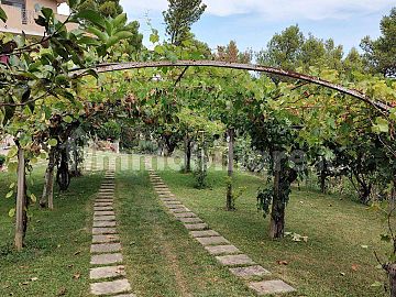 Villa quadrifamiliare in vendita a Città Sant'Angelo (PE) Contrada Fonte Umano foto 12