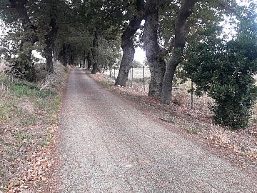 Terreno Edificabile Res. in vendita a Rosciano (PE) strada provinciale 19 foto 2