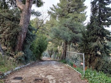 Ufficio in vendita a Città Sant'Angelo (PE) Contrada Piomba est foto 15