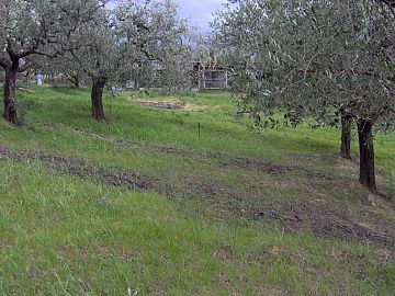 Terreno Edificabile Res. in vendita a Casalincontrada (CH) via delle more foto 8