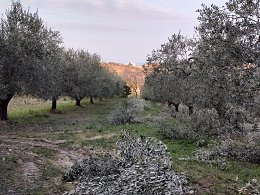 Vendita Ufficio in V a Città Sant'Angelo