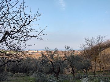 Ufficio in vendita a Città Sant'Angelo (PE) Contrada Piomba est foto 16