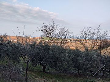 Ufficio in vendita a Città Sant'Angelo (PE) Contrada Piomba est foto 17