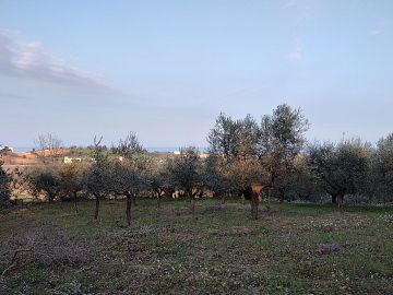 Ufficio in vendita a Città Sant'Angelo (PE) Contrada Piomba est foto 8