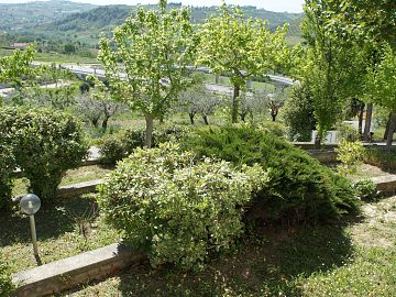 Villa trifamiliare in vendita a Bucchianico (CH) Contrada Costa Cola foto 7