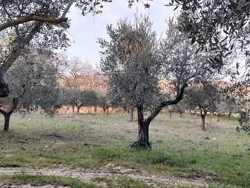 Ufficio in vendita a Città Sant'Angelo (PE) Contrada Piomba est foto 4