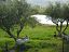 Villa trifamiliare in vendita a Bucchianico (CH) Contrada Costa Cola foto 28