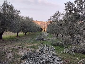 Ufficio in vendita a Città Sant'Angelo (PE) Contrada Piomba est foto 1