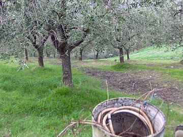 Terreno Edificabile Res. in vendita a Casalincontrada (CH) via delle more foto 5