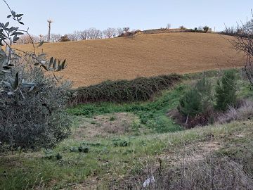 Ufficio in vendita a Città Sant'Angelo (PE) Contrada Piomba est foto 11