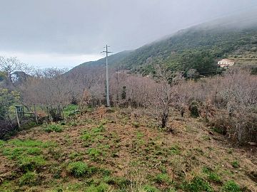 Casa indipendente in vendita a Pisciotta (SA) via pietralata foto 20