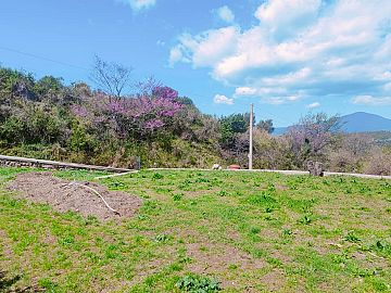 Villa in vendita a Ascea (SA) via grisi foto 4