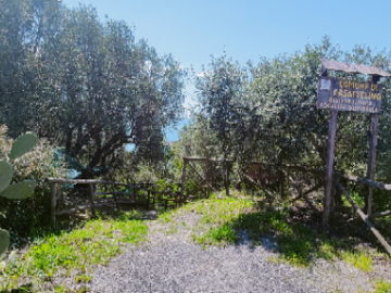 Appartamento in vendita a Casal Velino (SA) via piani foto 27