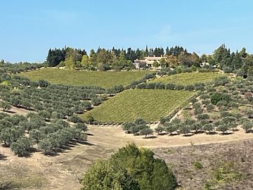 Terreno Agricolo in vendita a Pianella (PE) via fontaroli foto 3