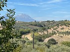 Vendita Terreno Agricolo in V a Pianella