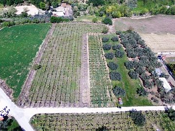 Terreno Agricolo in vendita a Ortona (CH)  foto 8