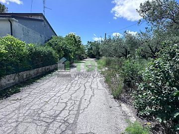 Casa indipendente in vendita a Gissi (CH)  foto 4