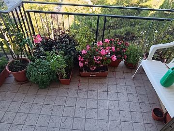 Appartamento in vendita a Chieti (CH) Via Arcivescovado 32 foto 15