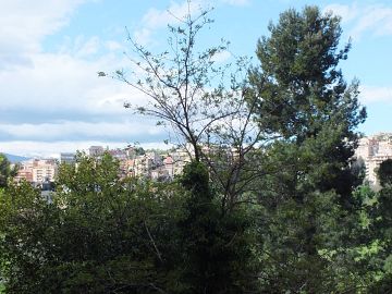 Appartamento in vendita a Chieti (CH) Via Tiro a Segno foto 26
