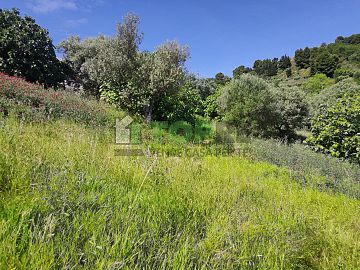 Terreno Edificabile Res. in vendita a Montesilvano (PE)  foto 8