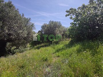 Terreno Edificabile Res. in vendita a Montesilvano (PE)  foto 4