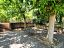 Villa a schiera in vendita a Chieti (CH) via muzii foto 5