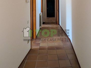 Appartamento in affitto a Chieti (CH)  foto 18