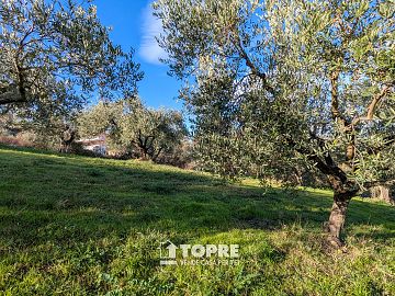 Terreno Agricolo in vendita a Casalincontrada (CH)  foto 15