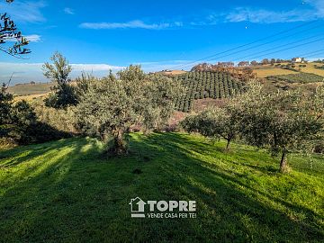 Terreno Agricolo in vendita a Casalincontrada (CH)  foto 17