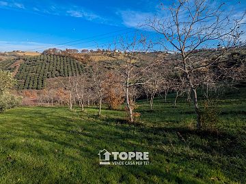 Terreno Agricolo in vendita a Casalincontrada (CH)  foto 16