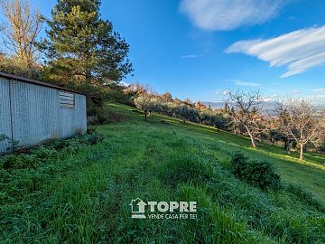 Terreno Agricolo in vendita a Casalincontrada (CH)  foto 8