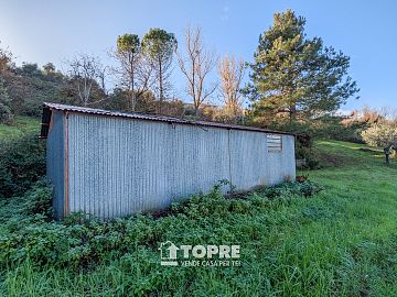 Terreno Agricolo in vendita a Casalincontrada (CH)  foto 6