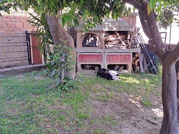 Villa in vendita a Chieti (CH)  foto 12