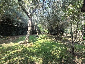 Casa indipendente in vendita a Chieti (CH) strada cascini foto 3