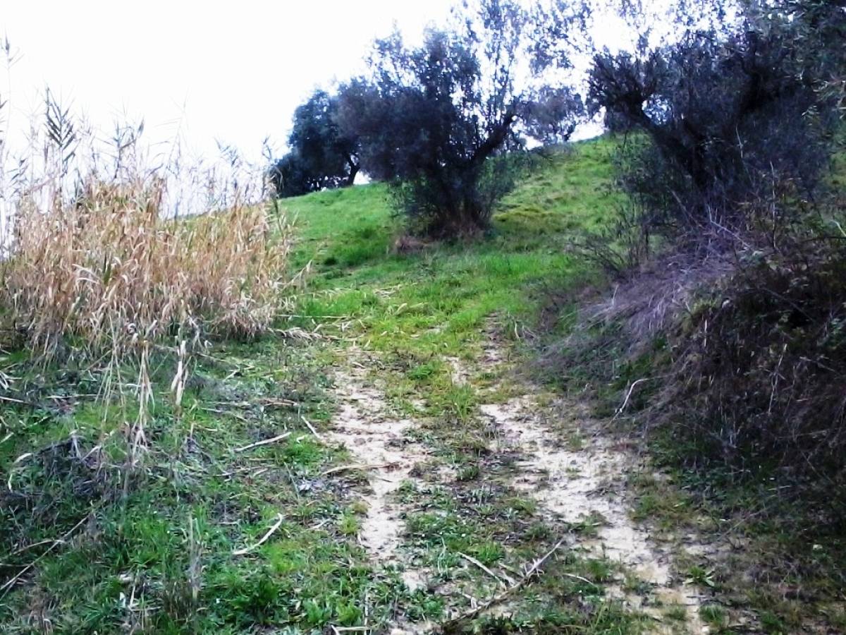 Terreno Agricolo in vendita in   a Casalincontrada - 419349 foto 1