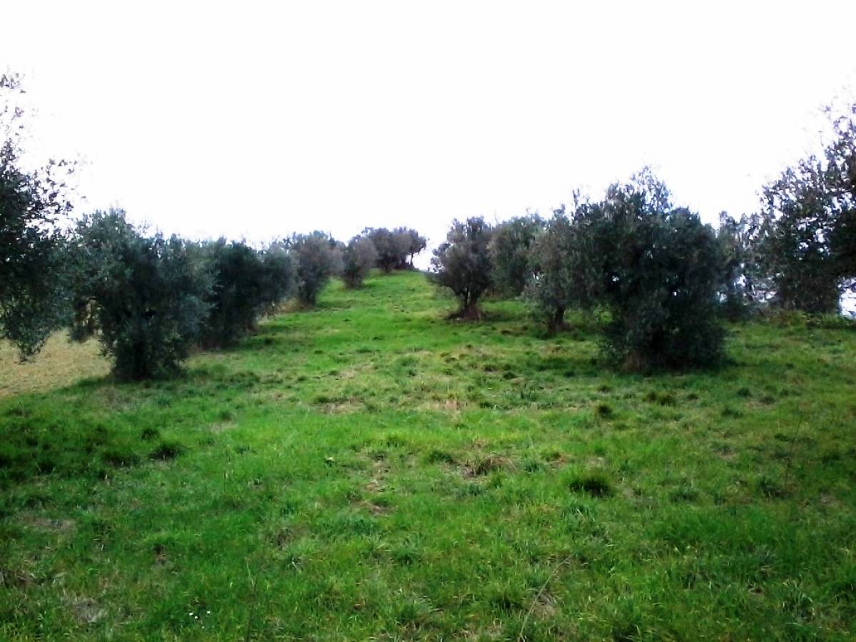 Terreno Agricolo in vendita in   a Casalincontrada - 419349 foto 3