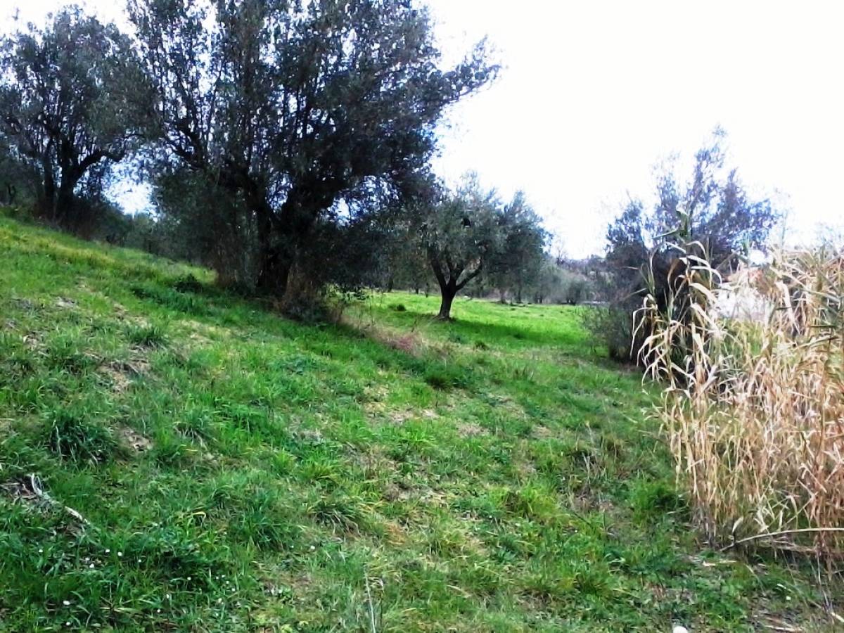 Terreno Agricolo in vendita in   a Casalincontrada - 419349 foto 4