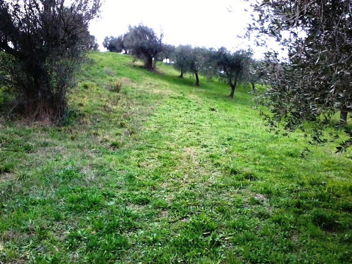 Terreno Agricolo in vendita in   a Casalincontrada - 419349 foto 5