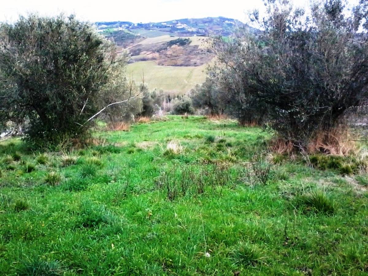 Terreno Agricolo in vendita in   a Casalincontrada - 419349 foto 7