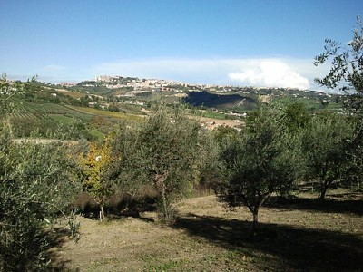 Terreno Agricolo in vendita a Bucchianico