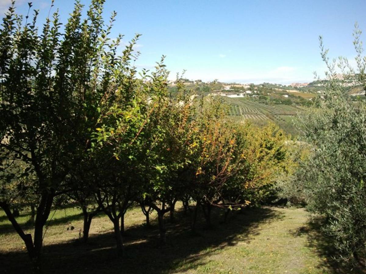 Farmland for sale in C.da Costa Cola  at Bucchianico - 14488 foto 2