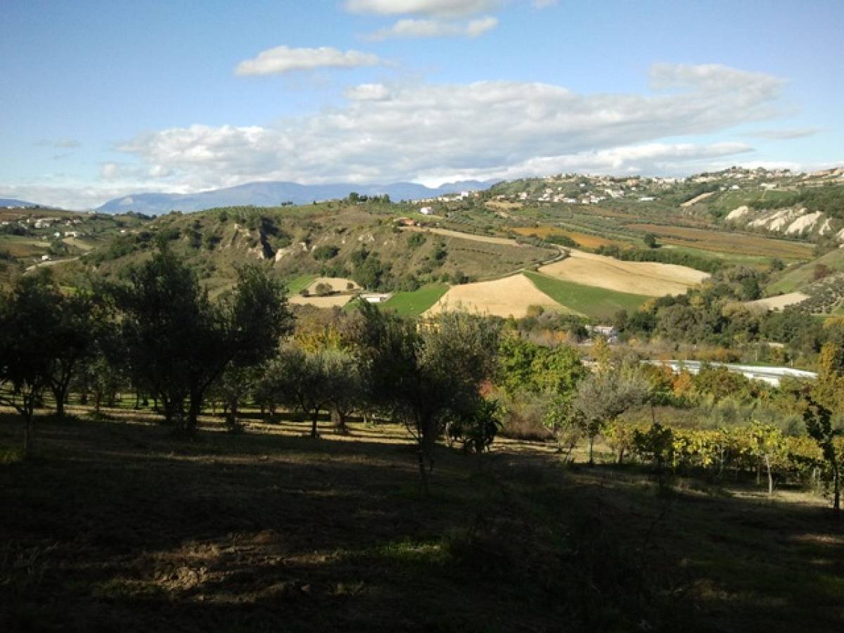 Farmland for sale in C.da Costa Cola  at Bucchianico - 14488 foto 3