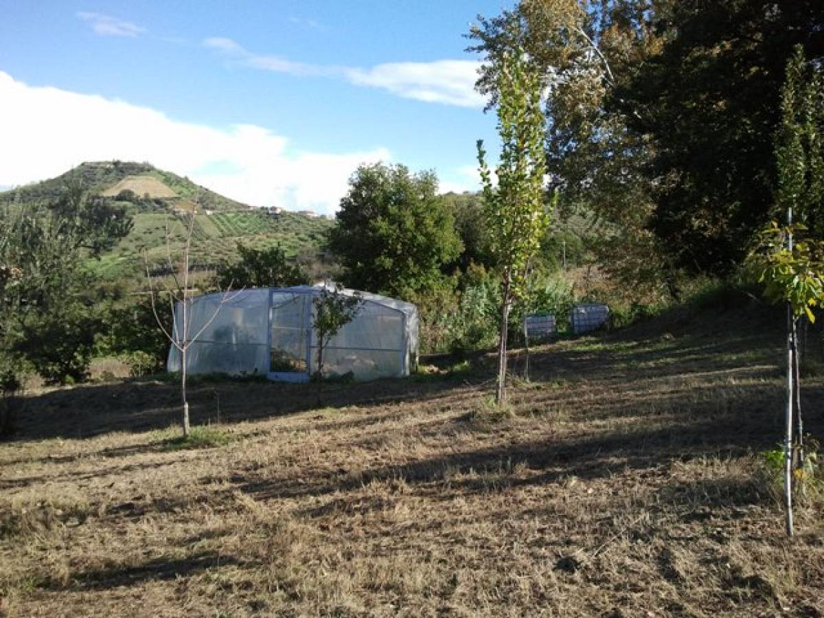 Farmland for sale in C.da Costa Cola  at Bucchianico - 14488 foto 5