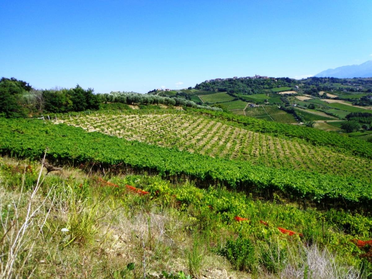 Terreno Agricolo in vendita in contrada santo stefano  a Ripa Teatina - 380423 foto 1