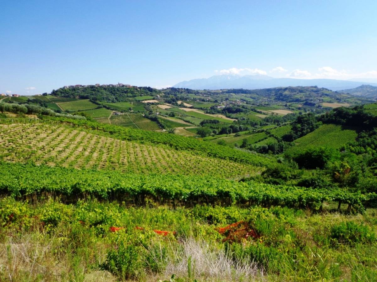 Terreno Agricolo in vendita in contrada santo stefano  a Ripa Teatina - 380423 foto 2