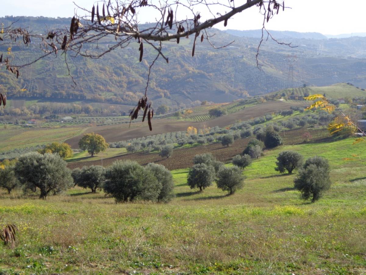 Terreno Agricolo in vendita in contrada iconicella  a Bucchianico - 850622 foto 2