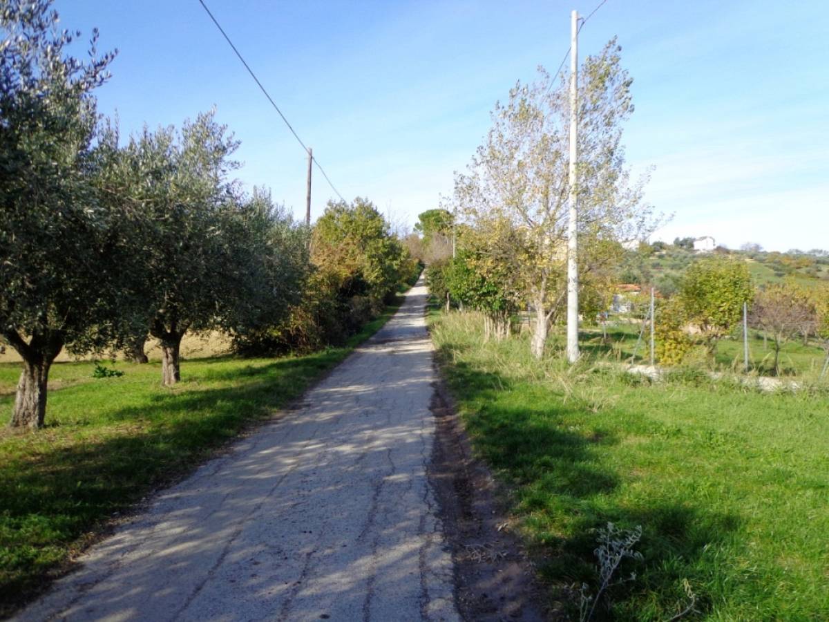 Terreno Agricolo in vendita in contrada iconicella  a Bucchianico - 850622 foto 3